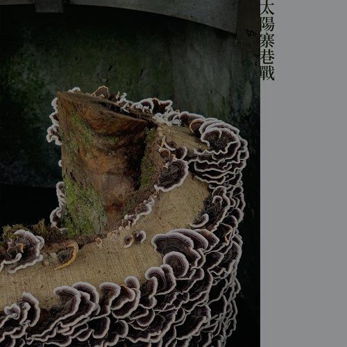 太陽寨巷戰