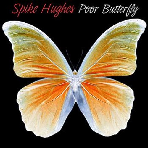 Poor Butterfly