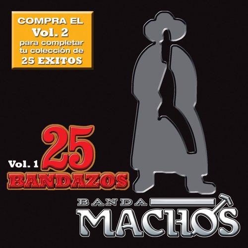 25 Bandazos de Machos (Vol. 1) [USA]