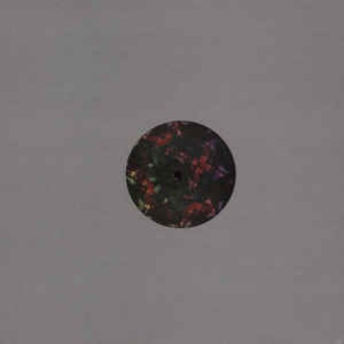 Sanctuary / Roofy - Single