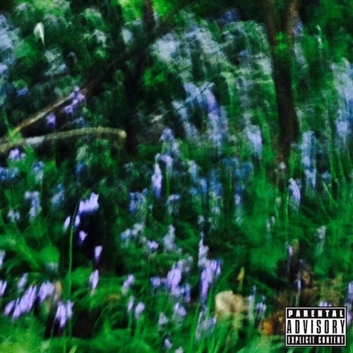 The Joker, The Devil and the Universe