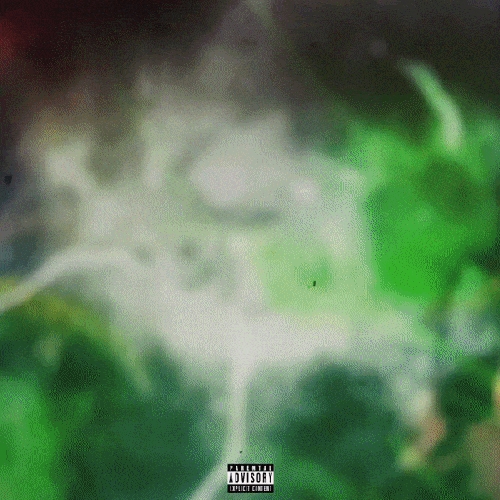 Butterflies - Single