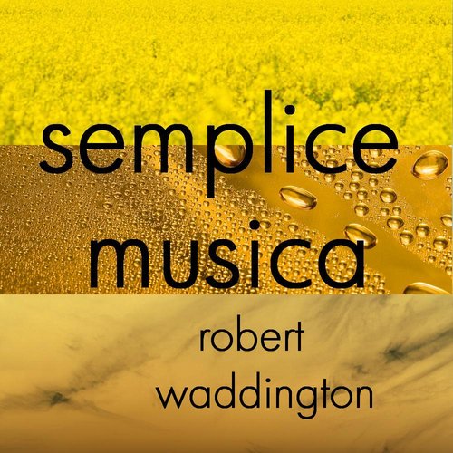 Semplice musica