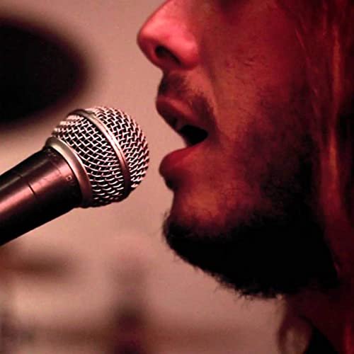 Reckless (Acoustic) [Acoustic] - Single