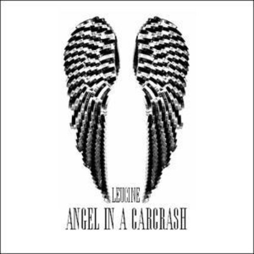 Angel In A Carcrash