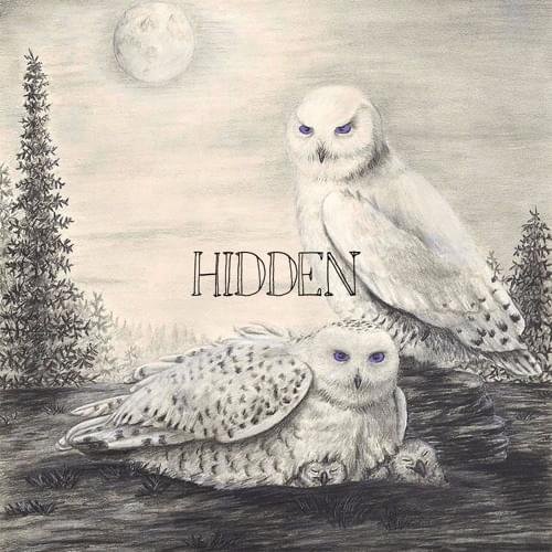 Hidden - EP