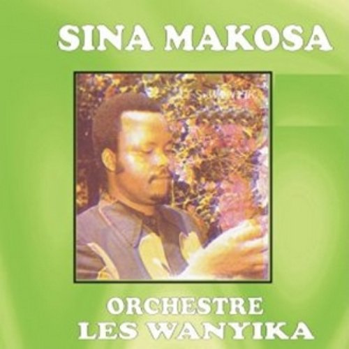 Sina Makosa