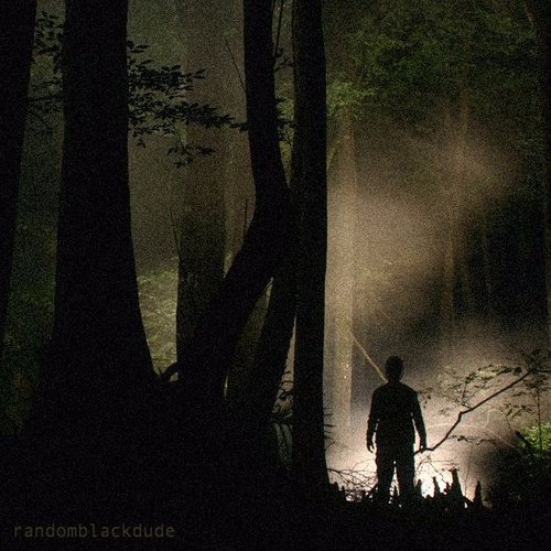 Sounds From the Swamp