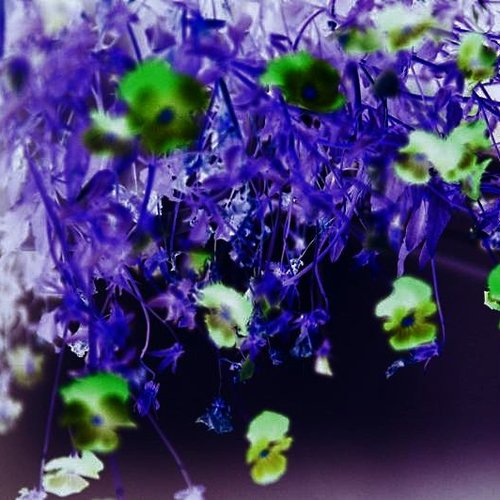 the droplets