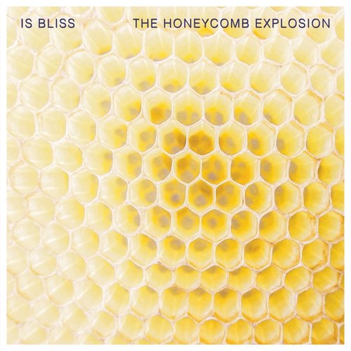 THE HONEYCOMB EXPLOSION