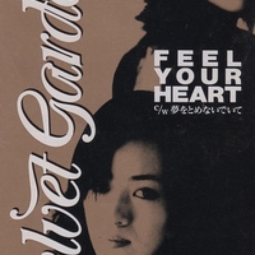 Feel Your Heart — Velvet Garden | Last.fm