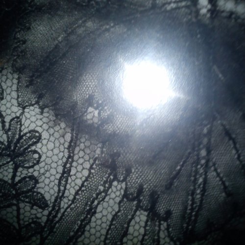 Six Dead Orchids in an Eagle's Talons