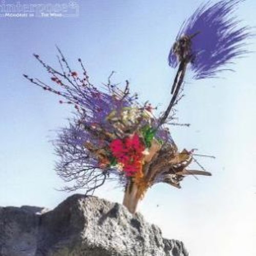 Memories in the wind