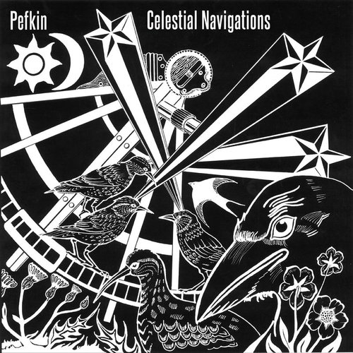 Celestial Navigations