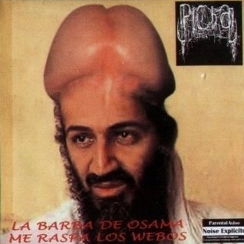 La barba de osama me raspa los webos