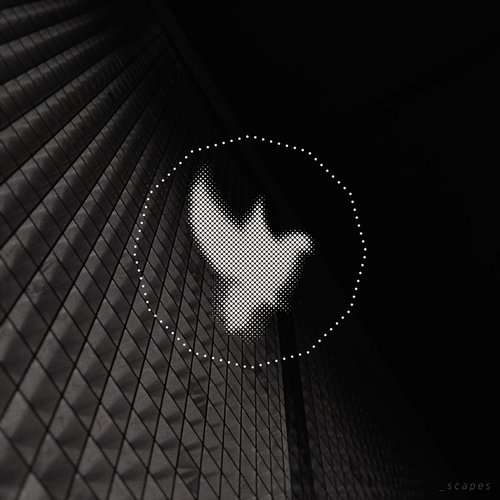 _scapes