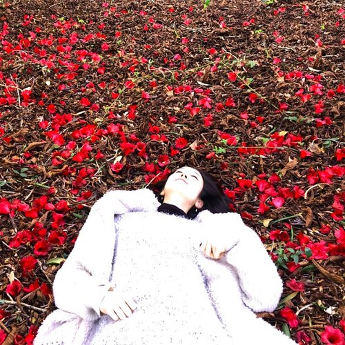 Ocean of Flowers
