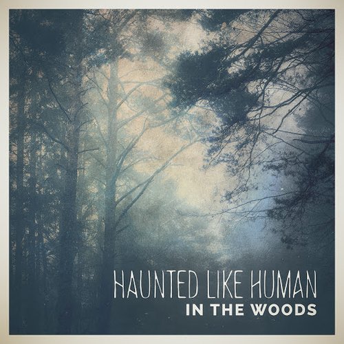 In the Woods