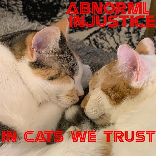 In Cats We Trust