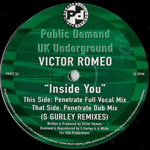 Inside You (S Gurley Remixes)