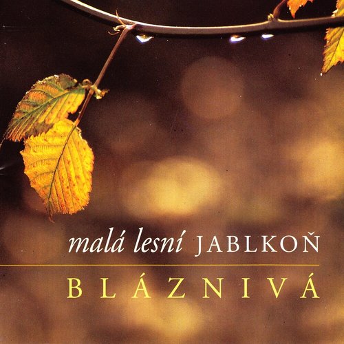 Bláznivá/Madly