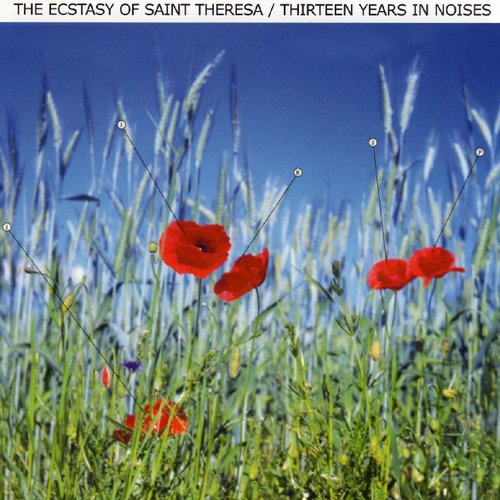 Thirteen Years In Noises