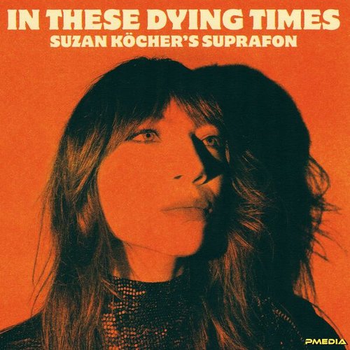In These Dying Times