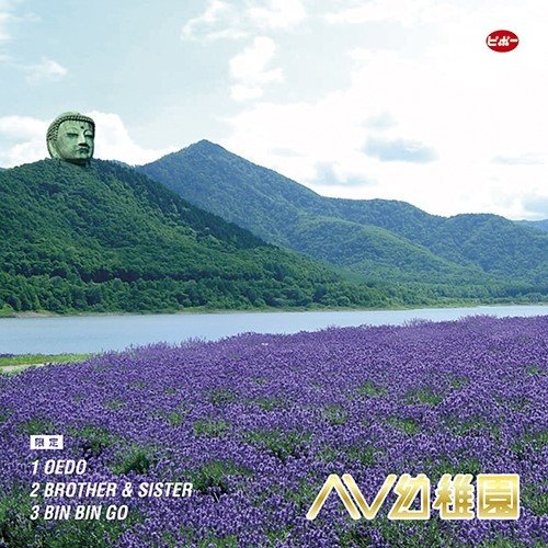 限定