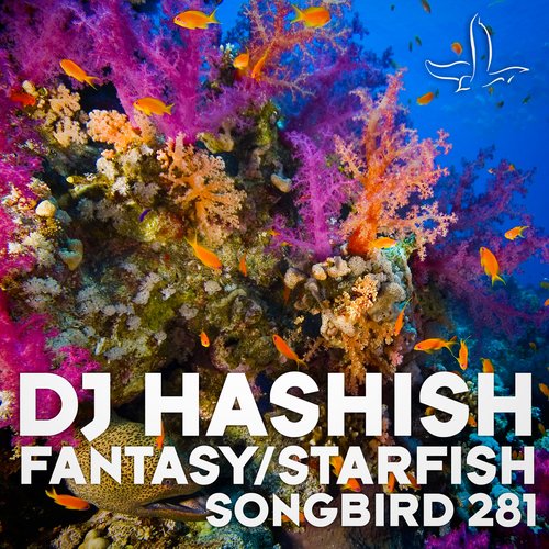 Fantasy / Starfish