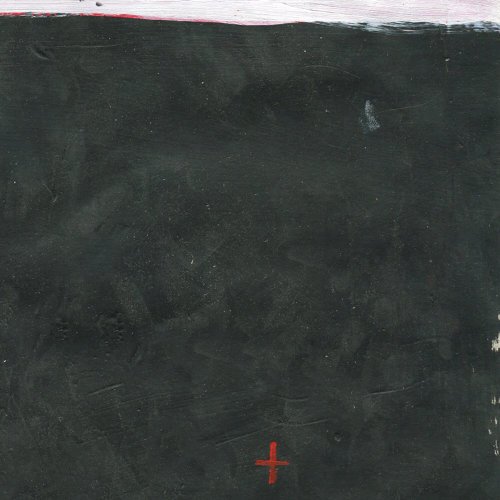 black marigold