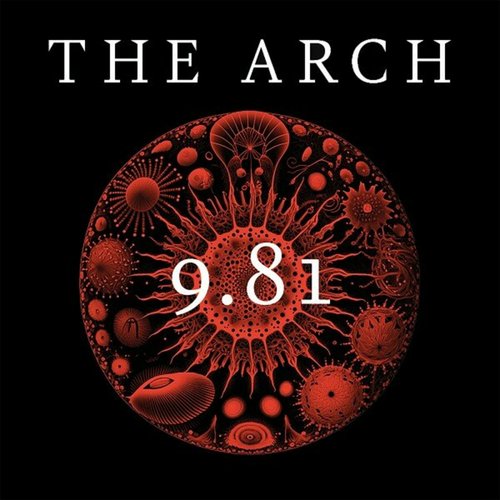 9,81
