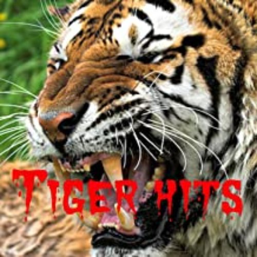 Tiger Hits