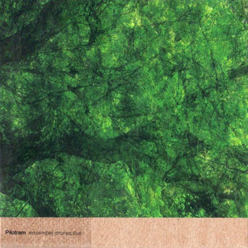 Ensemble Drones:Live