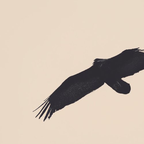 LET IT FLY