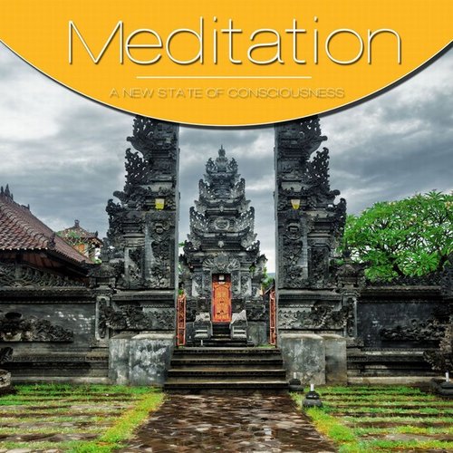 Meditation Vol. Grey