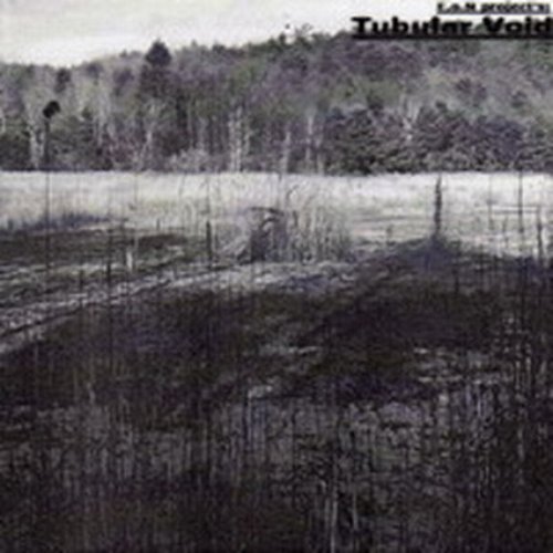 Tubular Void