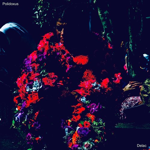 Polidoxus - Single