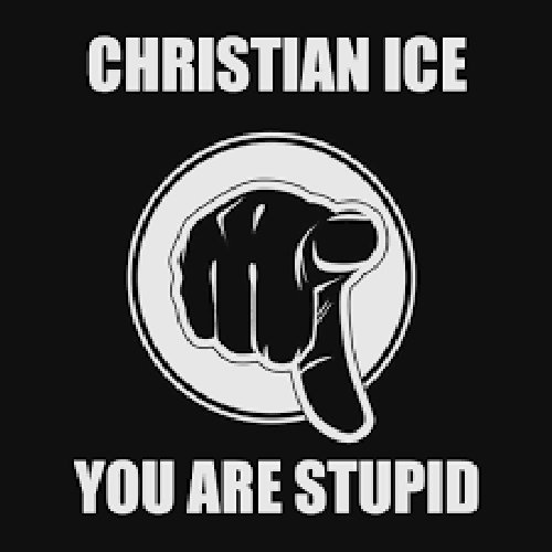 You Are Stupid