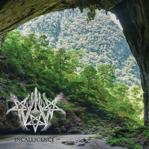 Incalescence