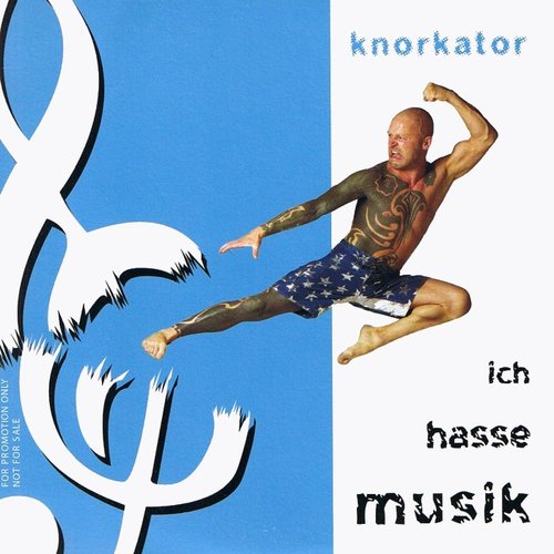 Ich hasse Musik