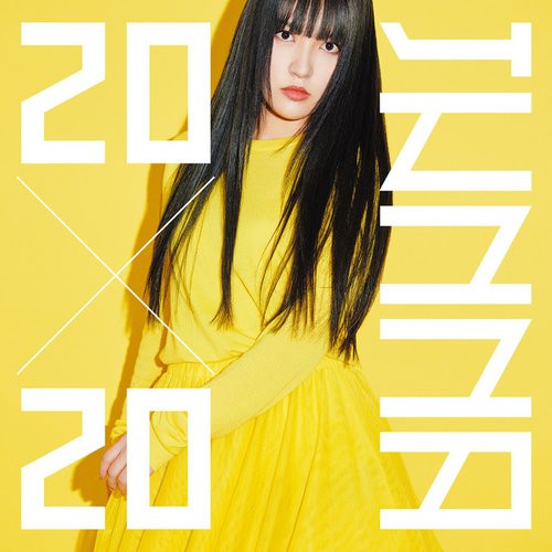 20x20