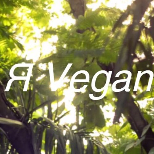 Мем я веган в туалете. Вегетарианский плакат. Я есть веган музыка. Приколы про растения. Песня я веган.