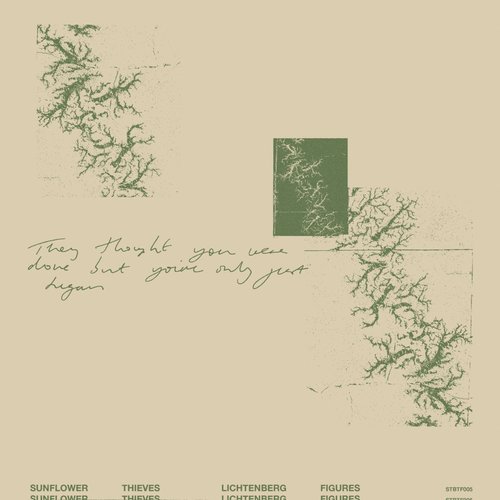 Lichtenberg Figures - Single