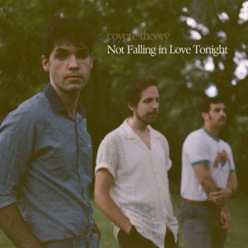 Not Falling In Love Tonight