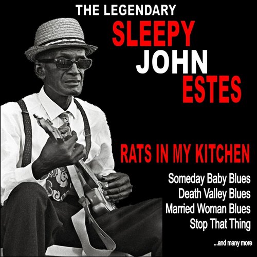 Rats in My Kitchen :The Legendary Sleepy John Estes