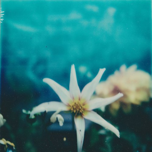 Slow Riot EP - Single