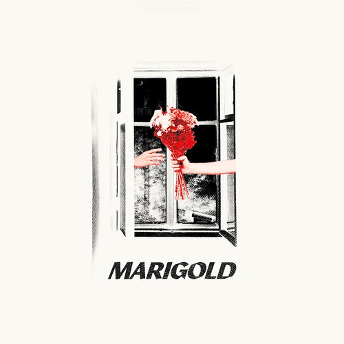 Marigold