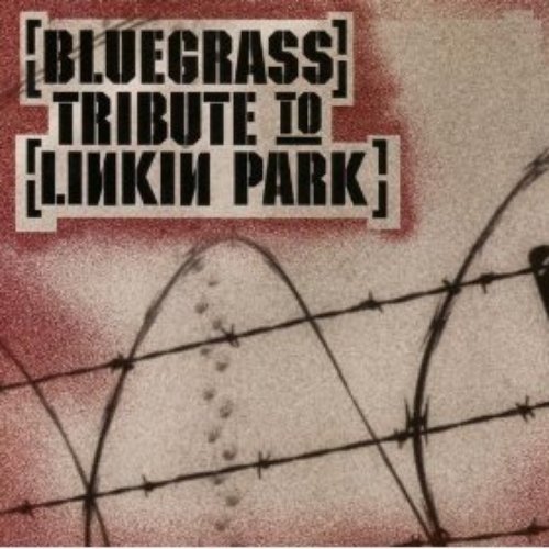 Bluegrass Tribute To Linkin Park