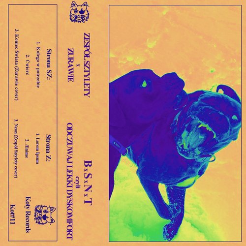 BSNT // Odczuwaj lekki dyskomfort (Sztylety) - Single