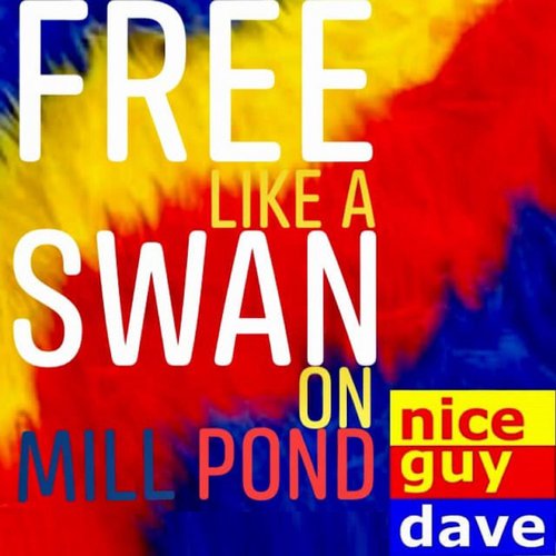 Free Like a Swan on Mill Pond - Single